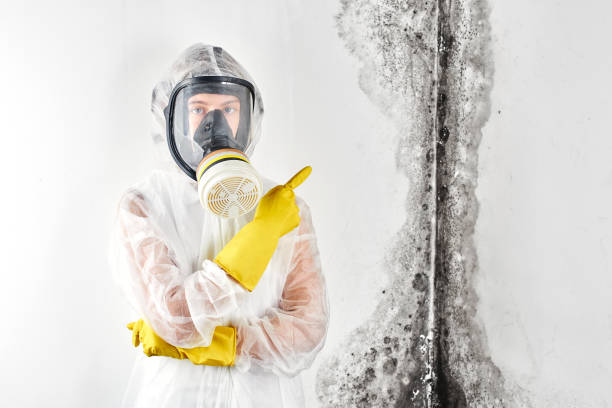 Best Mold Removal for HVAC Installations  in Dakota Ridge, CO