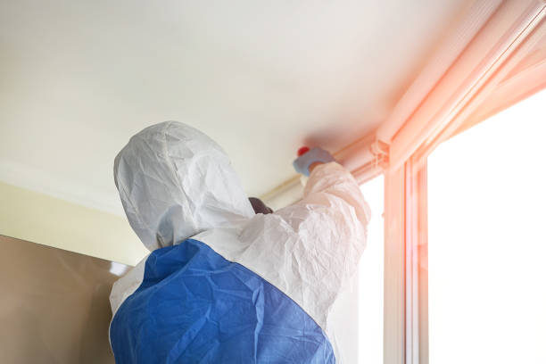 Best Commercial Mold Inspection  in Dakota Ridge, CO